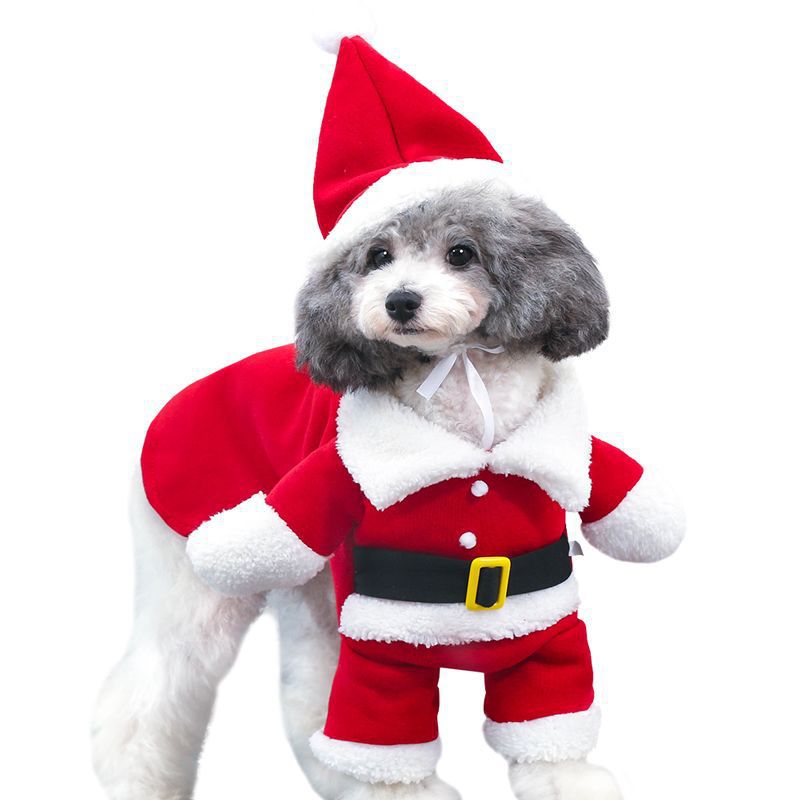 Déguisement de Noël rouge pour chien – XS à XL